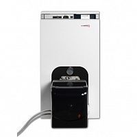 Protherm Бизон 60 NL